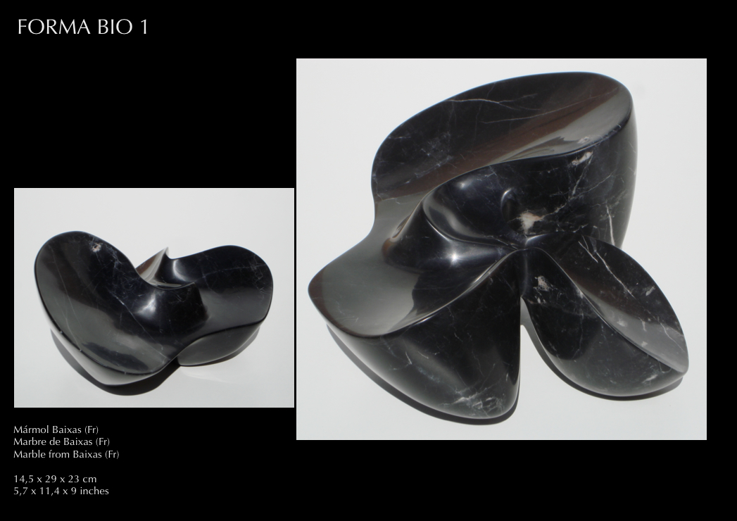 FORMA BIO 1
